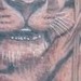 Tattoos - Tiger in Bamboo - 36180